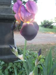 yIMG_5079