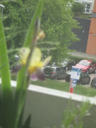 yIMG_5125