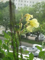 yIMG_5126