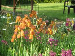 yIMG_5172