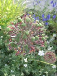 yIMG_5250