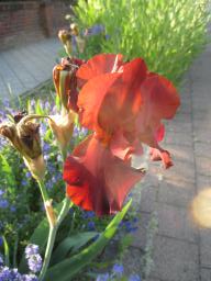 yIMG_5251