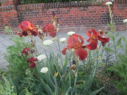 yIMG_5252