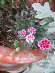 yIMG_5269