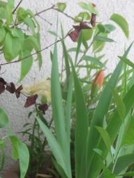yIMG_5271