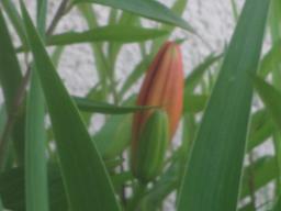 yIMG_5272