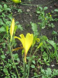 yIMG_5286