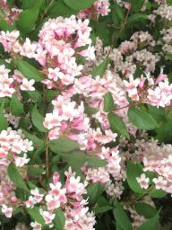 yIMG_5287