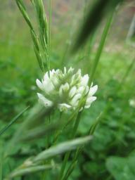 yIMG_5306