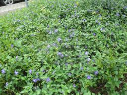 yIMG_5307