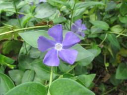 yIMG_5308