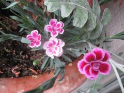 yIMG_5323
