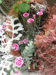 yIMG_5725