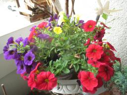 yIMG_5727