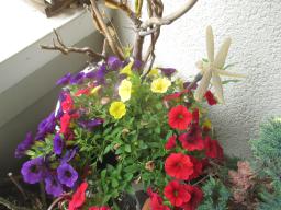 yIMG_5728