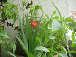 yIMG_5732