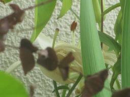 yIMG_5735