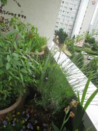 yIMG_5738