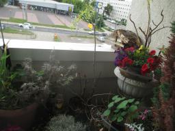 yIMG_5741