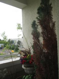 yIMG_5744