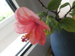 yIMG_5815