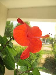 yIMG_5907