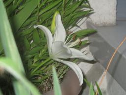 yIMG_5964