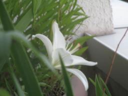yIMG_5967