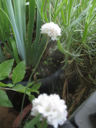yIMG_5968