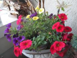yIMG_5972