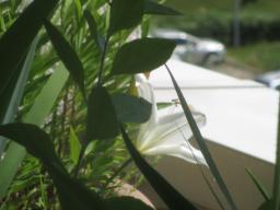 yIMG_6012