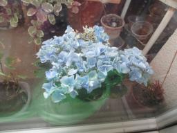 yIMG_6313