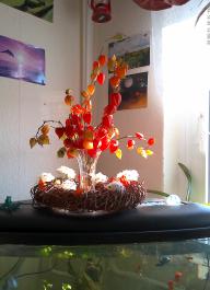 This photo is taken by AllWinner's v3-sdv