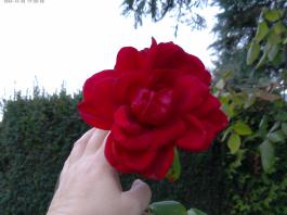 This photo is taken by AllWinner's v3-sdv