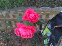 This photo is taken by AllWinner's v3-sdv
