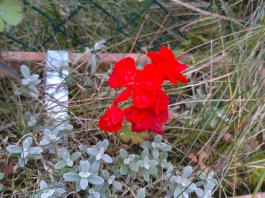 This photo is taken by AllWinner's v3-sdv