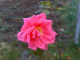 This photo is taken by AllWinner's v3-sdv