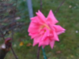 This photo is taken by AllWinner's v3-sdv
