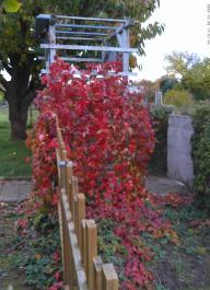 This photo is taken by AllWinner's v3-sdv