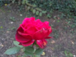 This photo is taken by AllWinner's v3-sdv