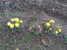 This photo is taken by AllWinner's v3-sdv