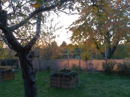 This photo is taken by AllWinner's v3-sdv