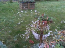 This photo is taken by AllWinner's v3-sdv