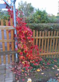 This photo is taken by AllWinner's v3-sdv