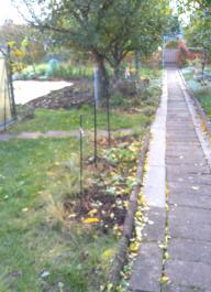 This photo is taken by AllWinner's v3-sdv