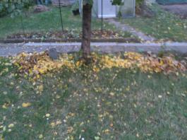 This photo is taken by AllWinner's v3-sdv