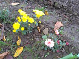 This photo is taken by AllWinner's v3-sdv
