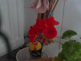 This photo is taken by AllWinner's v3-sdv