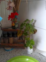 This photo is taken by AllWinner's v3-sdv