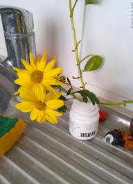 This photo is taken by AllWinner's v3-sdv